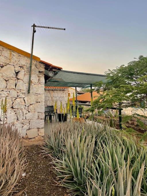 Casa Aloe Vera - Private House W/ Free Breakfast Cidade Velha Екстериор снимка