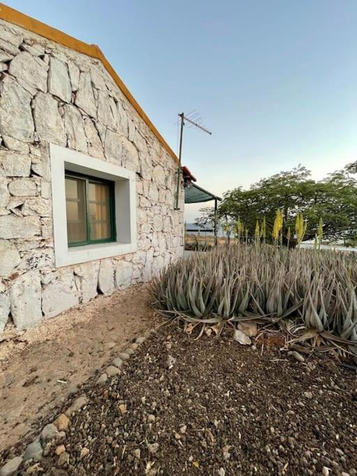 Casa Aloe Vera - Private House W/ Free Breakfast Cidade Velha Екстериор снимка