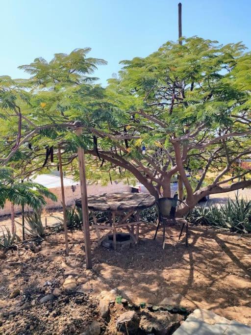 Casa Aloe Vera - Private House W/ Free Breakfast Cidade Velha Екстериор снимка